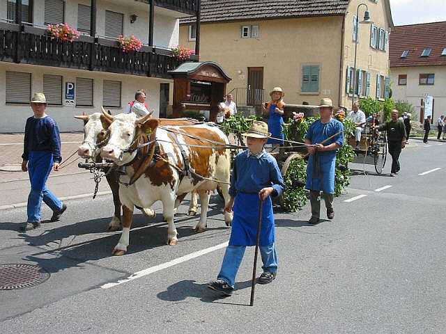 100 Jahre Weing�rtnergenossenschaft Mundelsheim