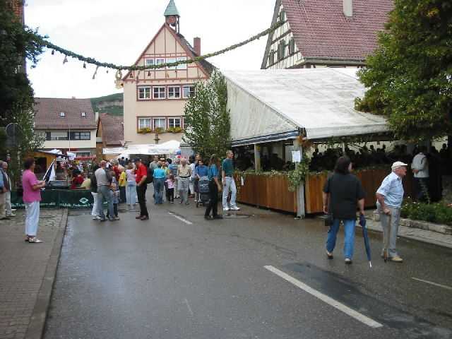 Die 16. Mundelsheimer
                Sichelhenket, 28.8 und 29.8.2004
