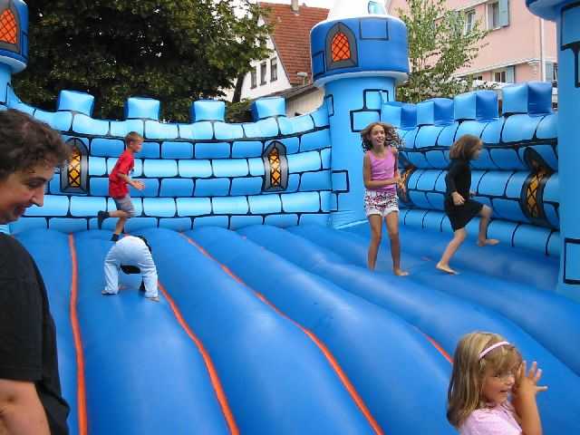 Die 16. Mundelsheimer
                Sichelhenket, 28.8 und 29.8.2004