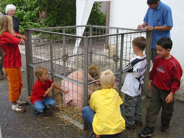 Die 16. Mundelsheimer
                Sichelhenket, 28.8 und 29.8.2004