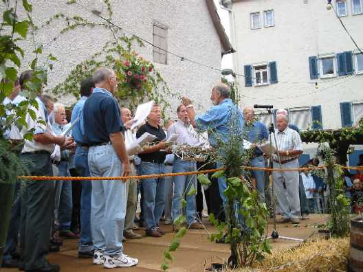 Das Weindorf
                Mundelsheim, 72 Bilder vom 29., 30. und 31.8.2003